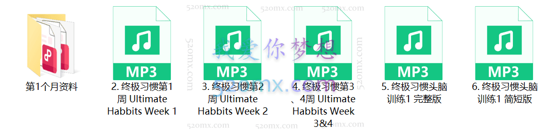 马丁:纳意识习惯心智调频课程12个月训练蜕变