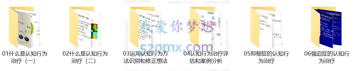 徐勇:(CBT)《认知行为治疗》