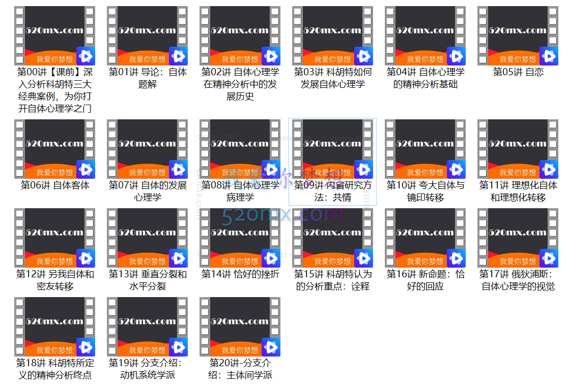 徐钧:自体心理学理论、技术和临床实操二十讲