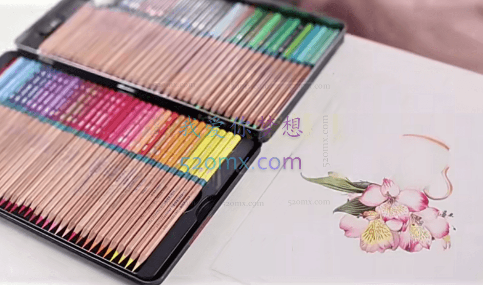 金雪婷：0基础小白彩铅课：央美大神手把手教你画彩铅，让你妙笔生花，秒变大神