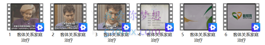 (美) 大卫·萨夫, 吉儿·萨夫 著: 客体关系家庭治疗