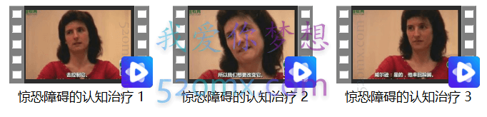 里德·威尔逊（Reid Wilson）惊恐障碍的认知治疗3集视频