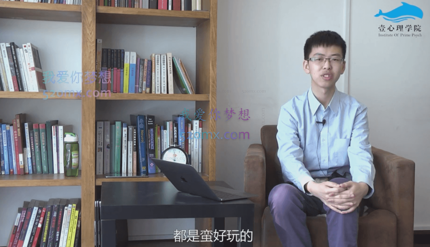 丛非从：萨提亚模式理论技术及应用 如何重构家庭积极系统