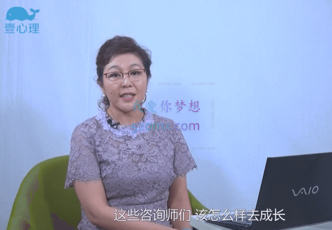 壹心理:情感心理咨询技能大全,3大理论奠基、5大主流流派、30+实操技术 #2