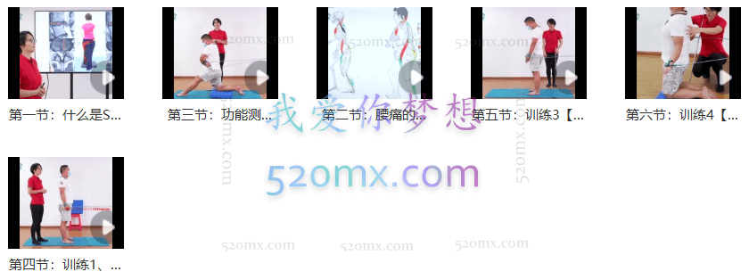 【陈冬凤】SPS螺旋稳定肌肉链技术高效处理腰痛、腰椎间盘突出