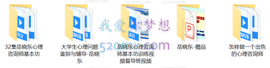 岳晓东:心理咨询全集+赠品 #2