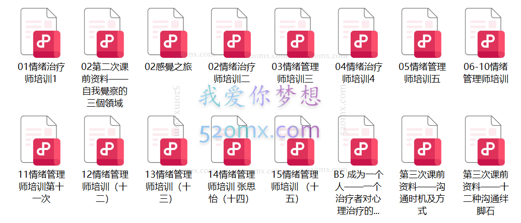 中加国际情绪管理师培训录音+课件资料