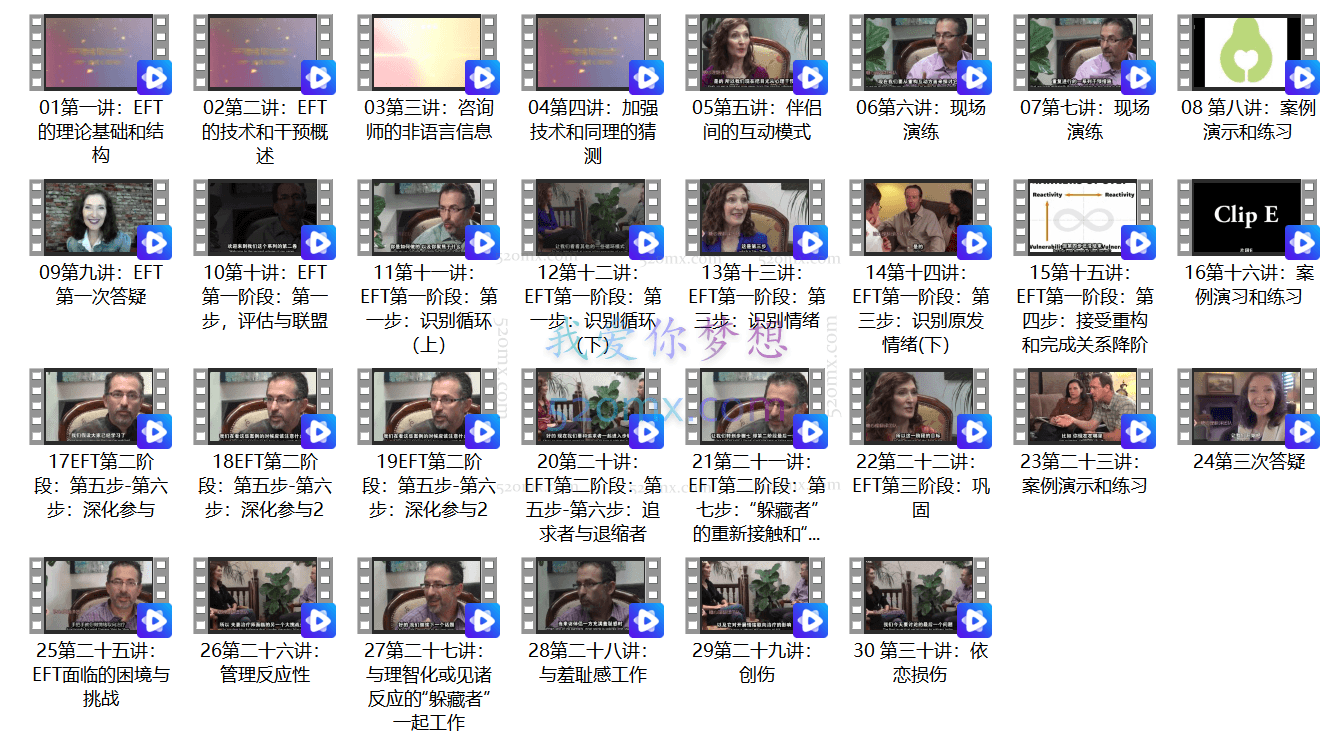 EFT新课【糖心理·官方合作】情绪取向治疗×权威导师×30周训练营 全面提升治疗技能 视频课程