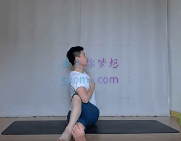 司沐欣60个体式精讲