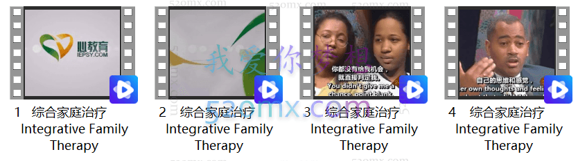 肯尼斯·哈迪:综合家庭治疗4集视频(中文翻译)