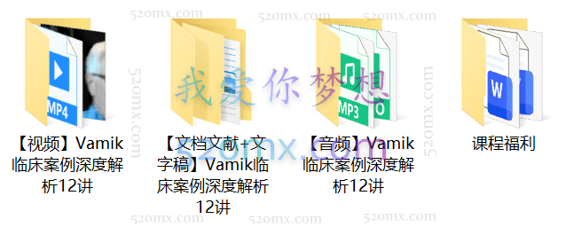 Vamik临床案例深度解析12讲：对无法哀悼、代际创伤及三种人格组织的治疗过程与临床技术运用