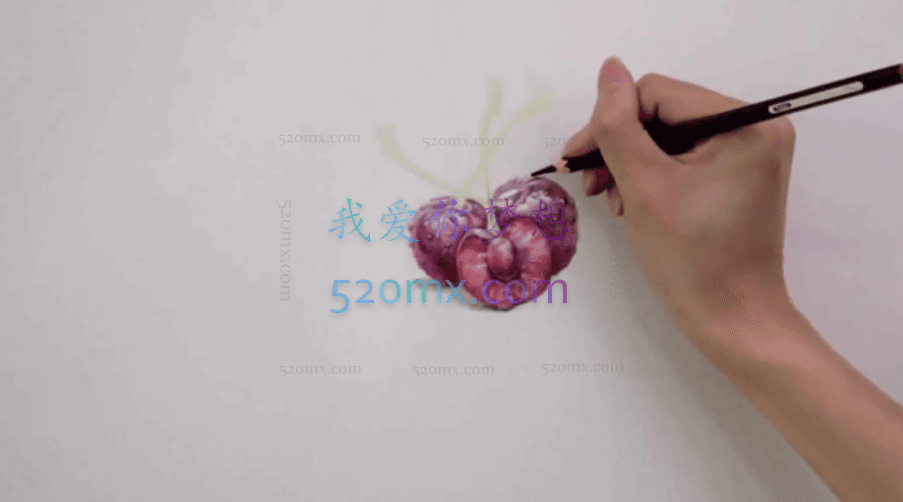 零基础学彩铅2020