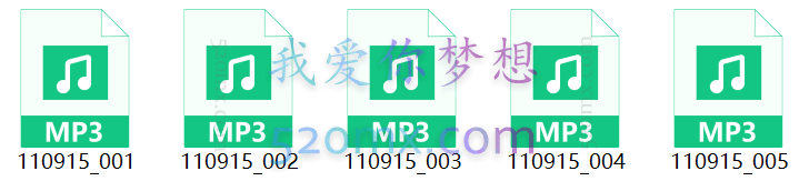 张国维：NLP高级执行师