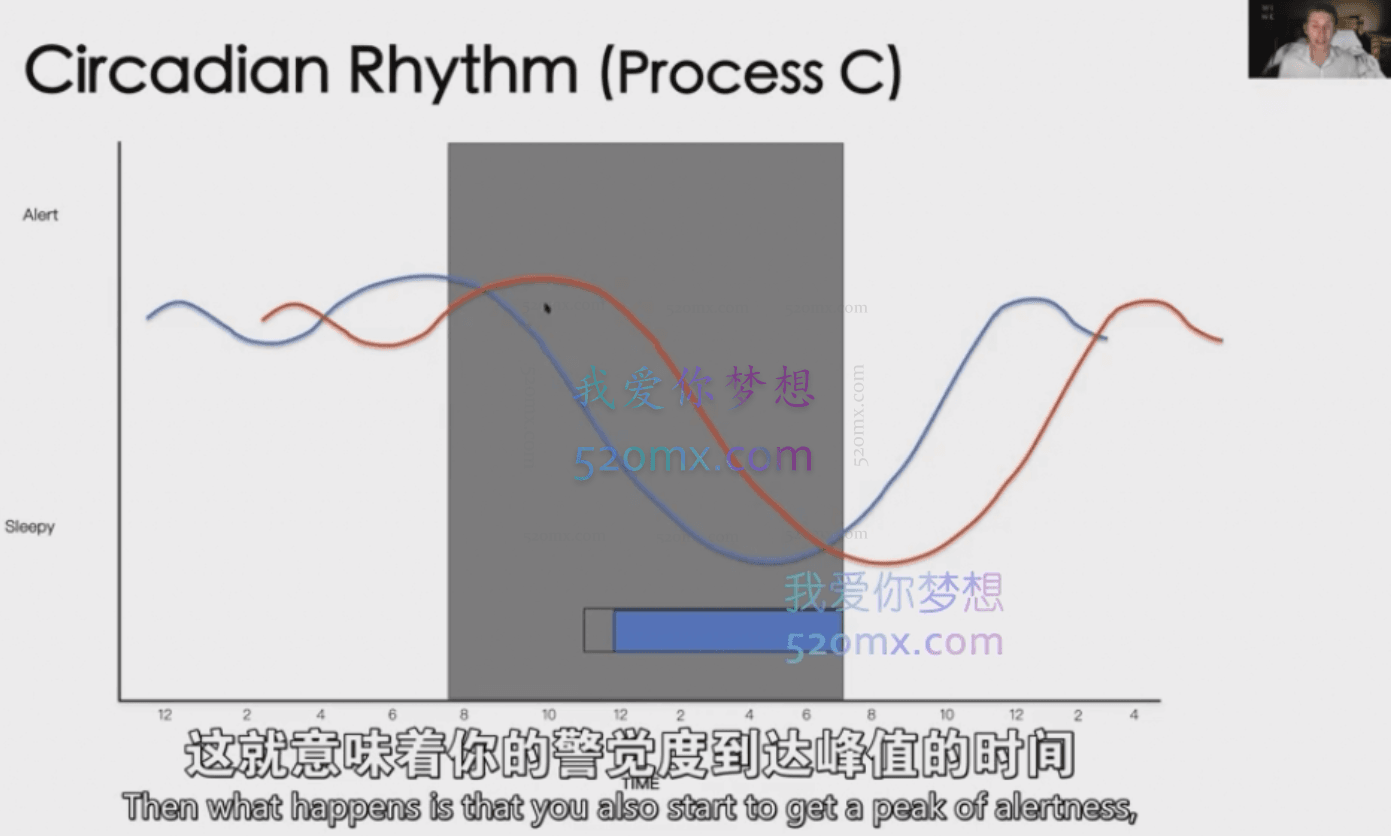 睡觉作为动物本能，为什么你还在花钱助眠？｜12周，让我们一起寻回睡眠本能 #2