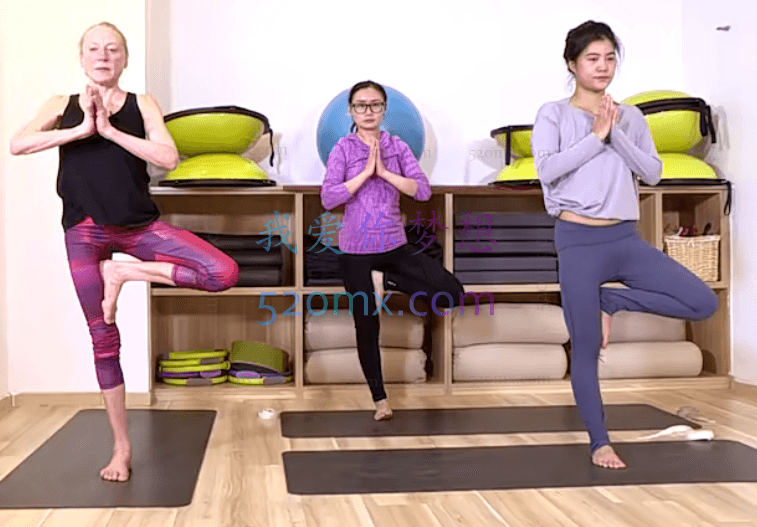 （lois）哈它瑜伽基础进阶教师培训课