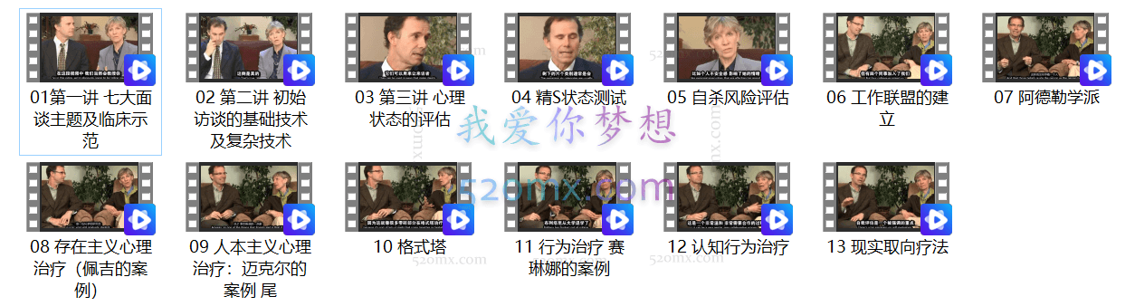 【心理咨询面谈技术课】临床面谈与11个流派治疗技术