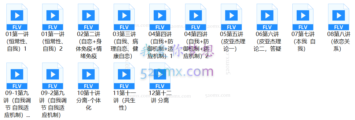罗尼：索兰童年之谜课程