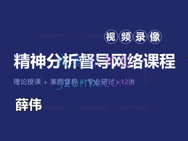 薛伟:精神分析督导网络课程12讲 视频录像