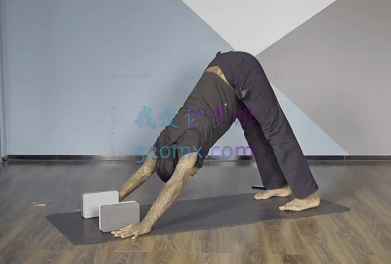 Nino Mendes:无限流瑜伽·6大主题序列