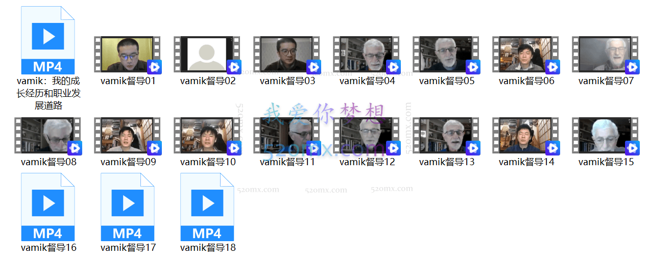 vamik督导课18讲视频