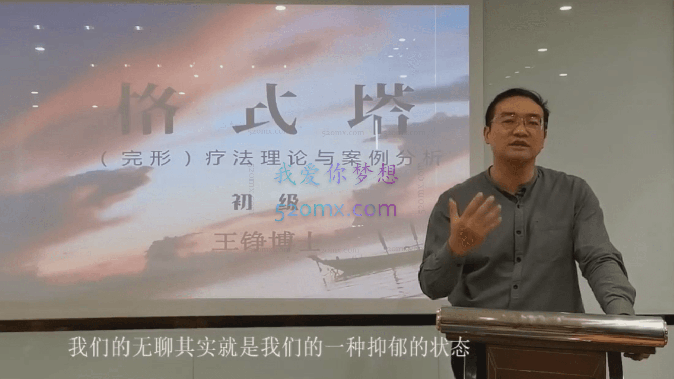 王铮:格式塔疗法理论与案例分析初中高系列课程