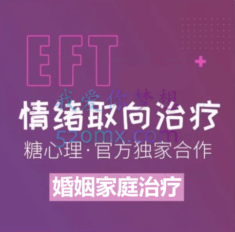 刘婷EFT（情绪取向）婚姻家庭治疗 初阶课程录音
