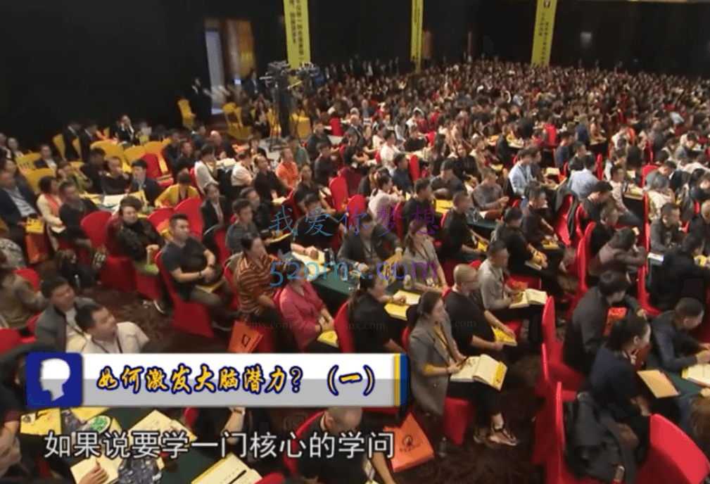 苏引华《2019思维导图》(108集)视频