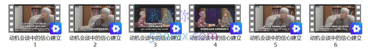 凯西·科尔：动机会谈中的信心建立 6集视频（中英文字幕）