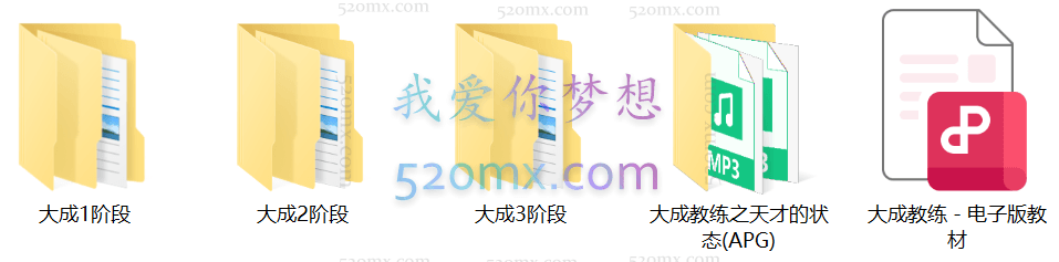 大成教练(NLP教练技术)12天录音独家+赠《天才的状态》+教材 #2