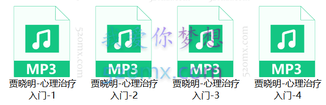 贾晓明:心理咨询入门和接诊技巧