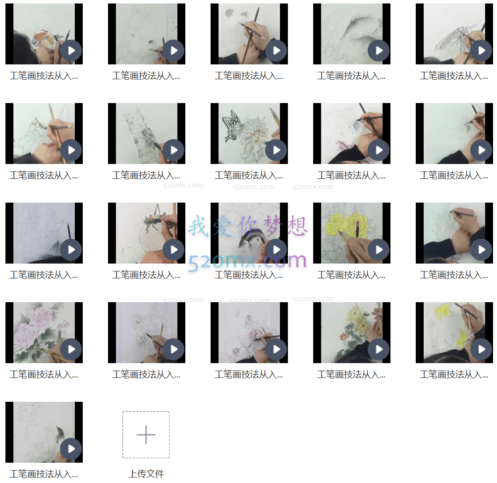 工笔画技法从入门到精通DVD教学版