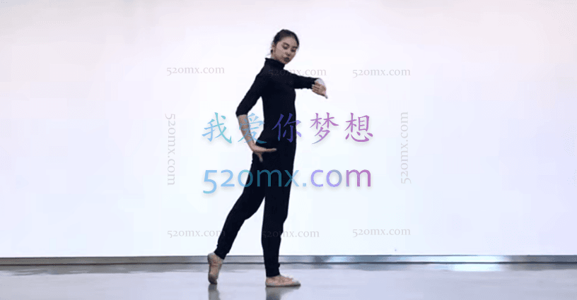 中舞网:古典舞-成品舞蹈教学(群舞、独舞都有)