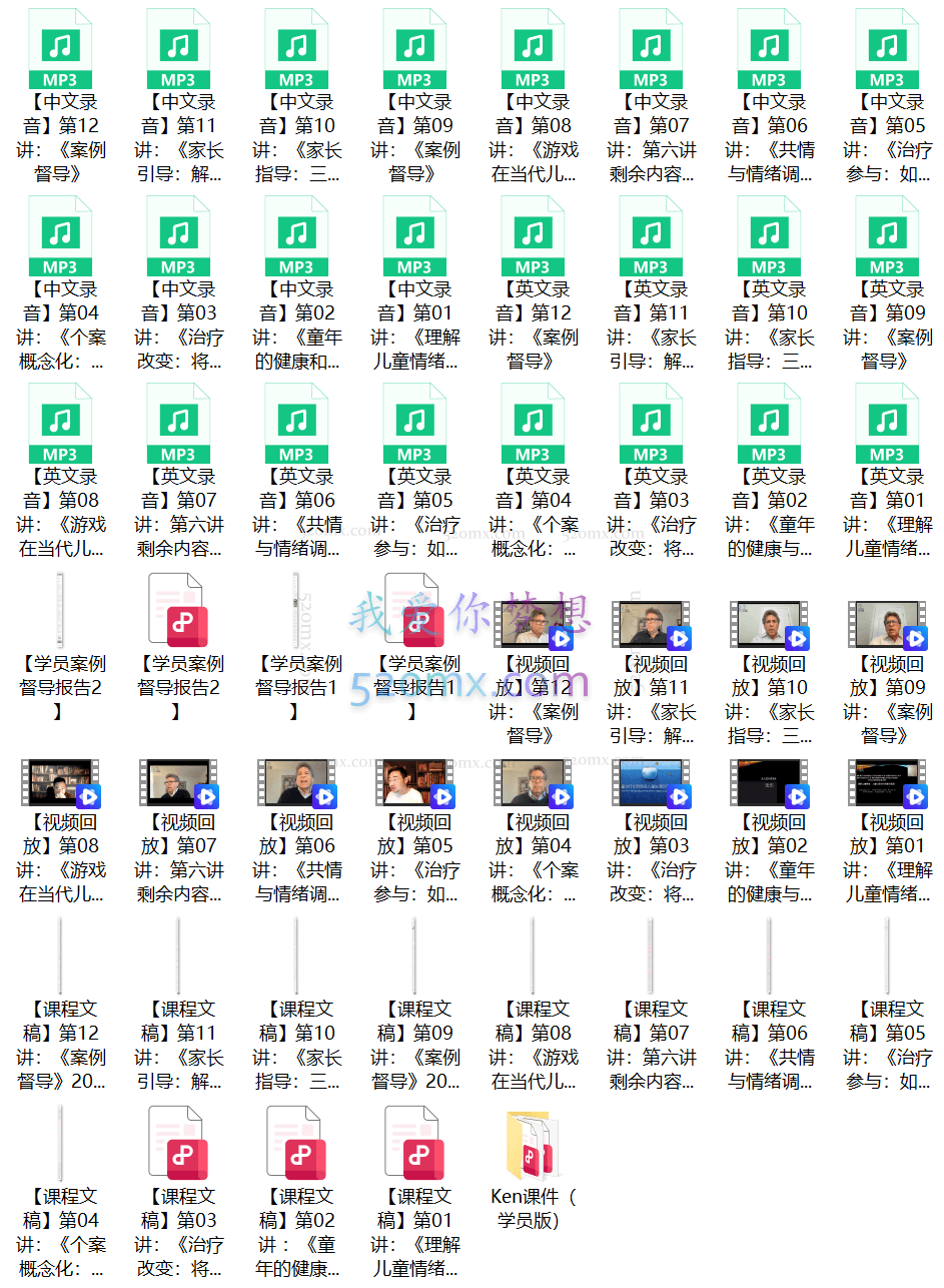 当代儿童治疗师对儿童情绪体验的理解：一套整合性儿童心理治疗的综合框架