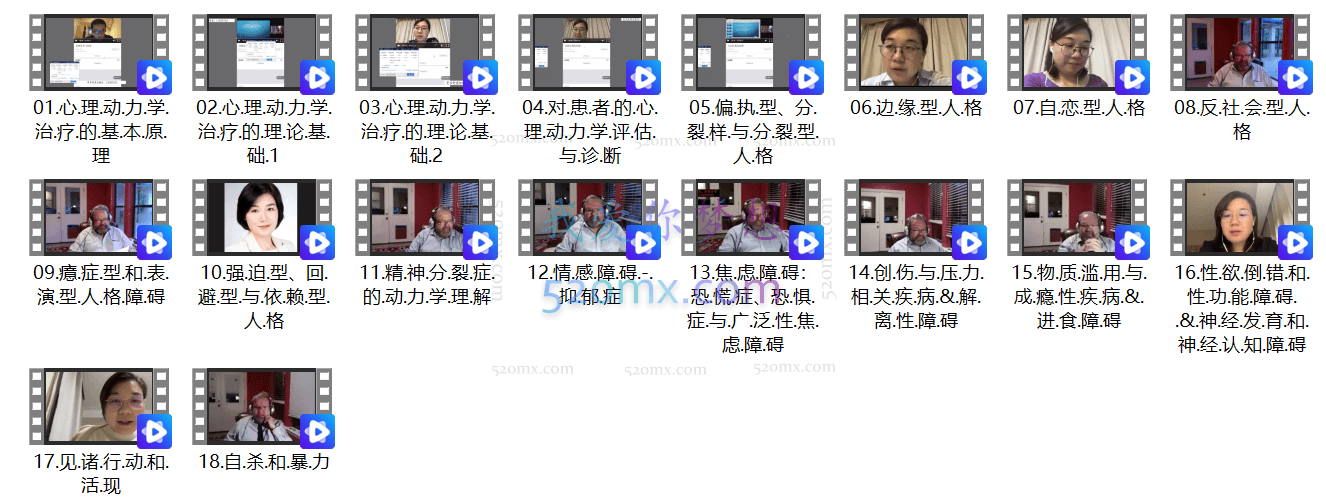 10类人格和8种症状的心理动力学诊断与治疗——休斯顿精神分析研究所主席Sagman主讲