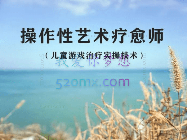 林昆辉:操作性艺术疗愈师(儿童游戏治疗实操技术)3天课程超清录像