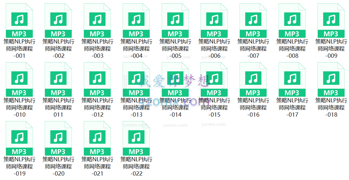 策略NLP网络执行师1-2阶课程录音