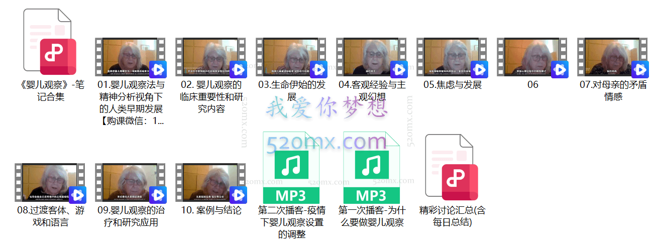 Judy Shuttleworth-婴儿观察方法和理论入门10讲