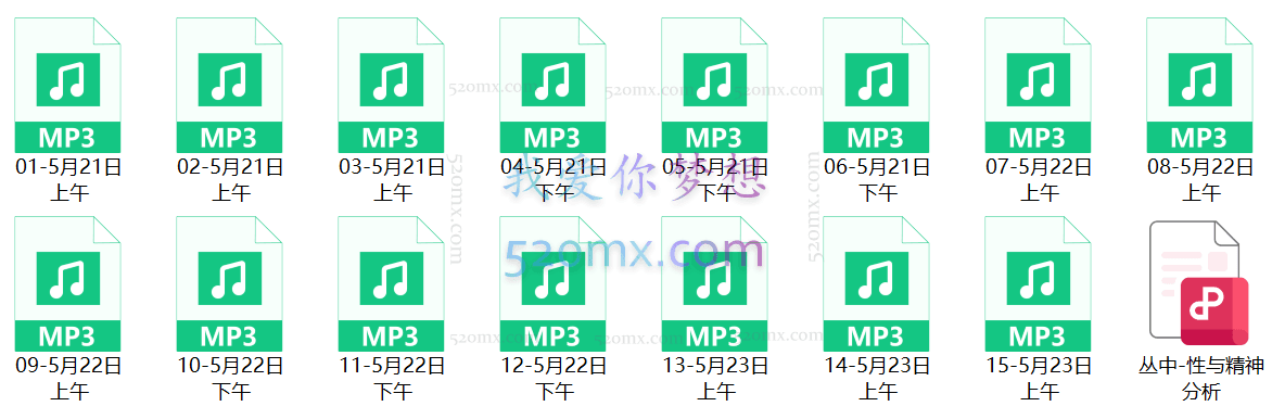 丛中:武汉-性与精神分析工作坊