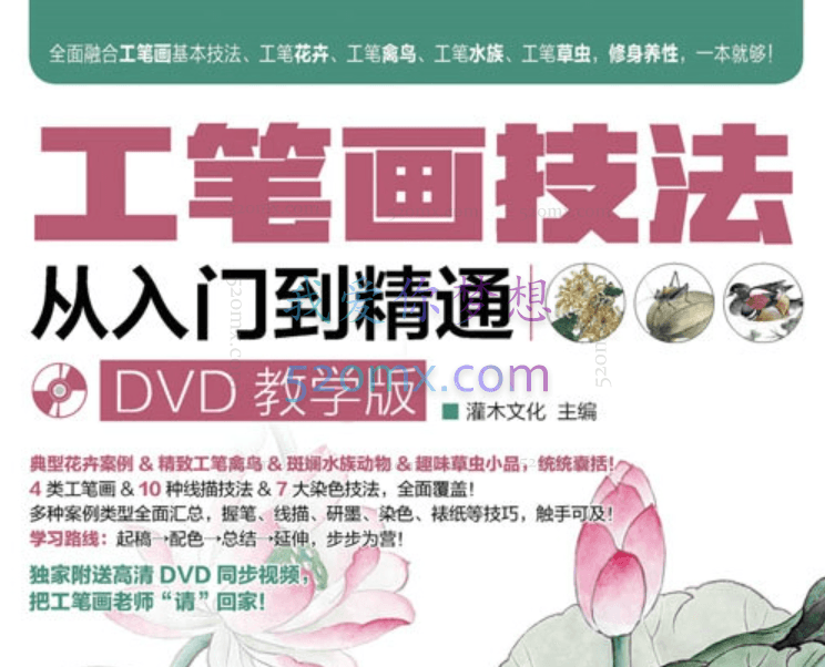 工笔画技法从入门到精通DVD教学版