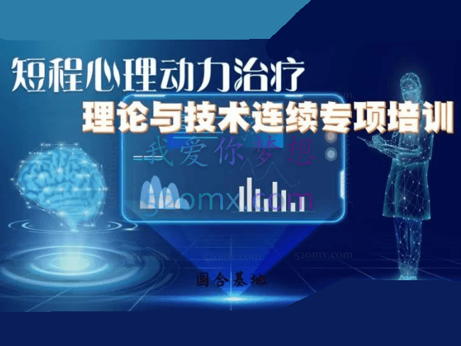 「国合基地」Anne Mckay 短程心理动力治疗理论与技术连续专项培训 8次讲座不含督导