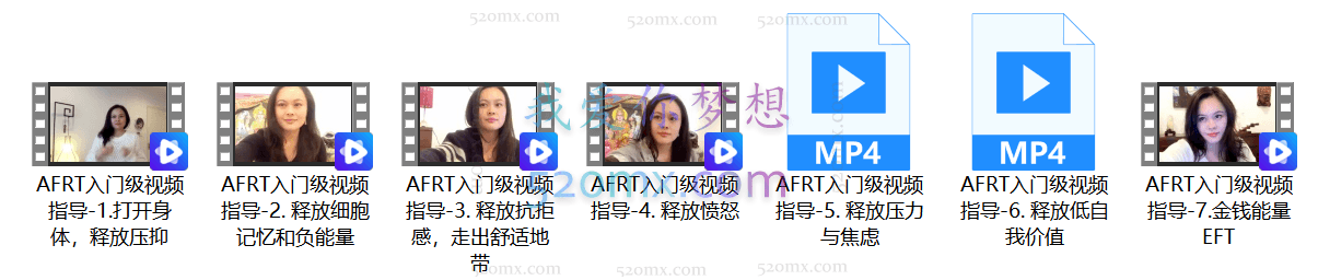 Amanda:AFRT入门级视频