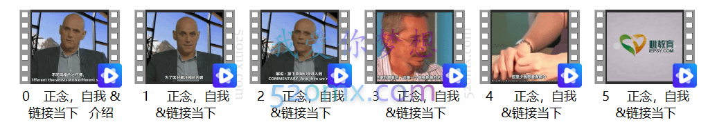 斯蒂文·海斯 :正念,自我链接当下,5集(中文字幕)
