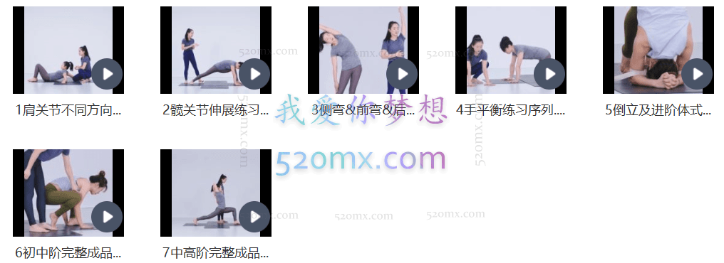 Andrey Lappa大师课寰宇瑜伽初中高系统课