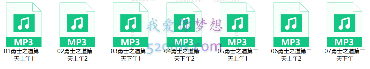 罗伊.马丁纳：勇士之道 2天工作坊录音