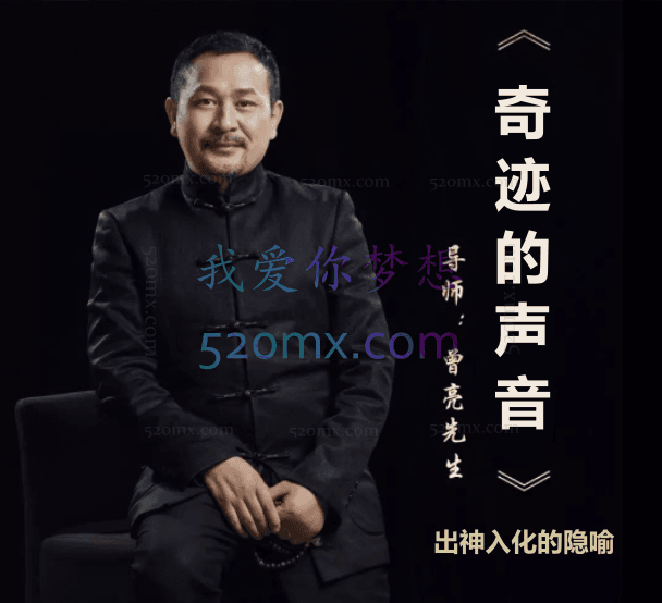 曾亮:奇迹的声音-出神入化的隐喻-解码艾瑞克森-解码隐喻现场录音