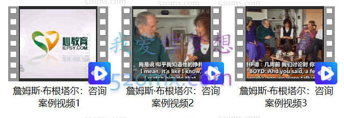 詹姆斯·布根塔尔:团体咨询案例 视频(中文字幕) 3集