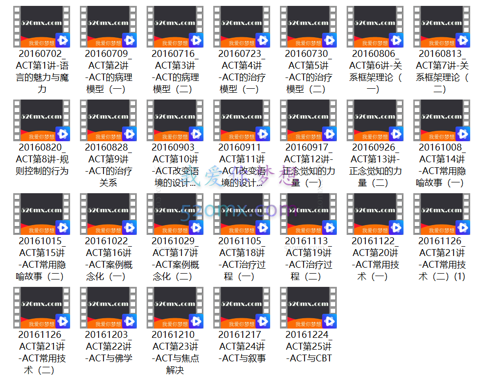 张海音【微课10讲】让个案概念化落到实处:基于评估的精神分析技术
