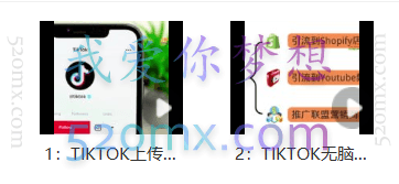 TIKTOK无脑搬运上传视频赚钱，日入150-250美元，小白可做（2节视频课）