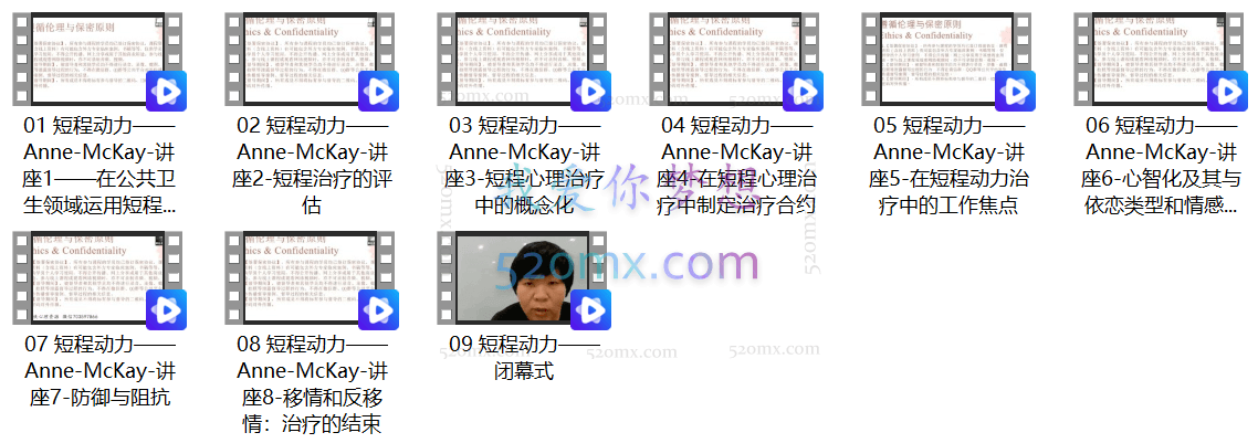 「国合基地」Anne Mckay 短程心理动力治疗理论与技术连续专项培训 8次讲座不含督导