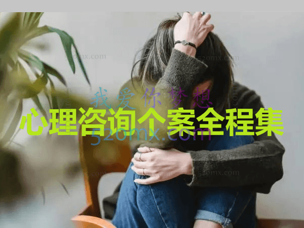 心理咨询个案全程集